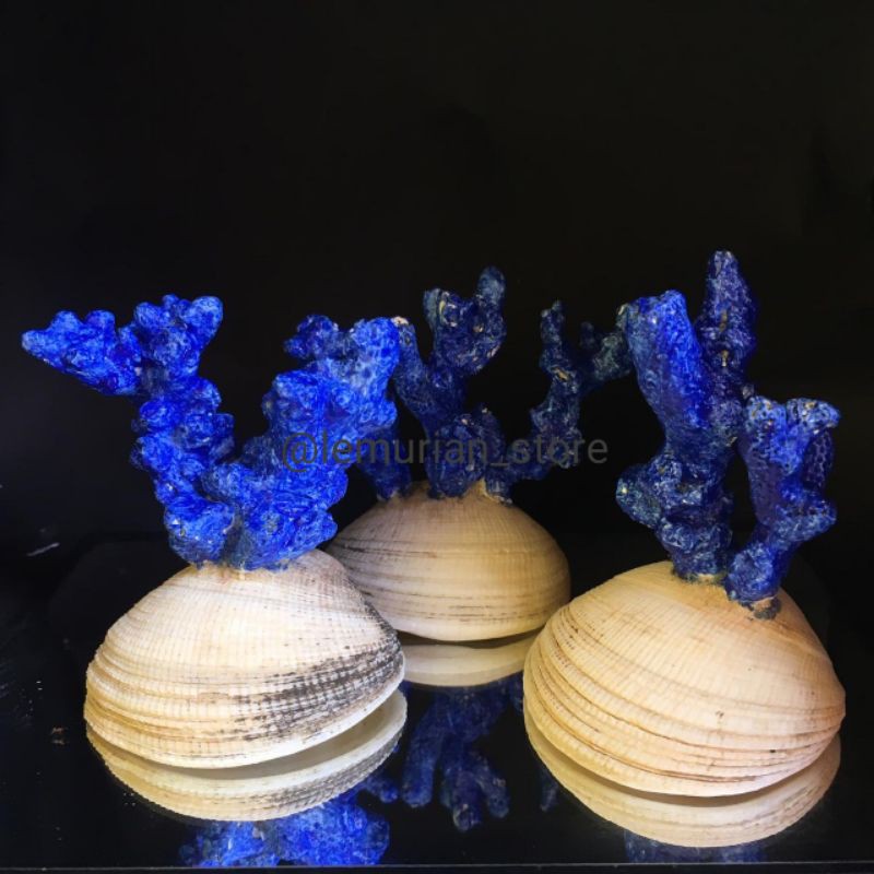 BATU KARANG LAUT ASLI// aquarium/ aquascape/ corallaut/batu/laut/terumbu karang/deadrock/premium