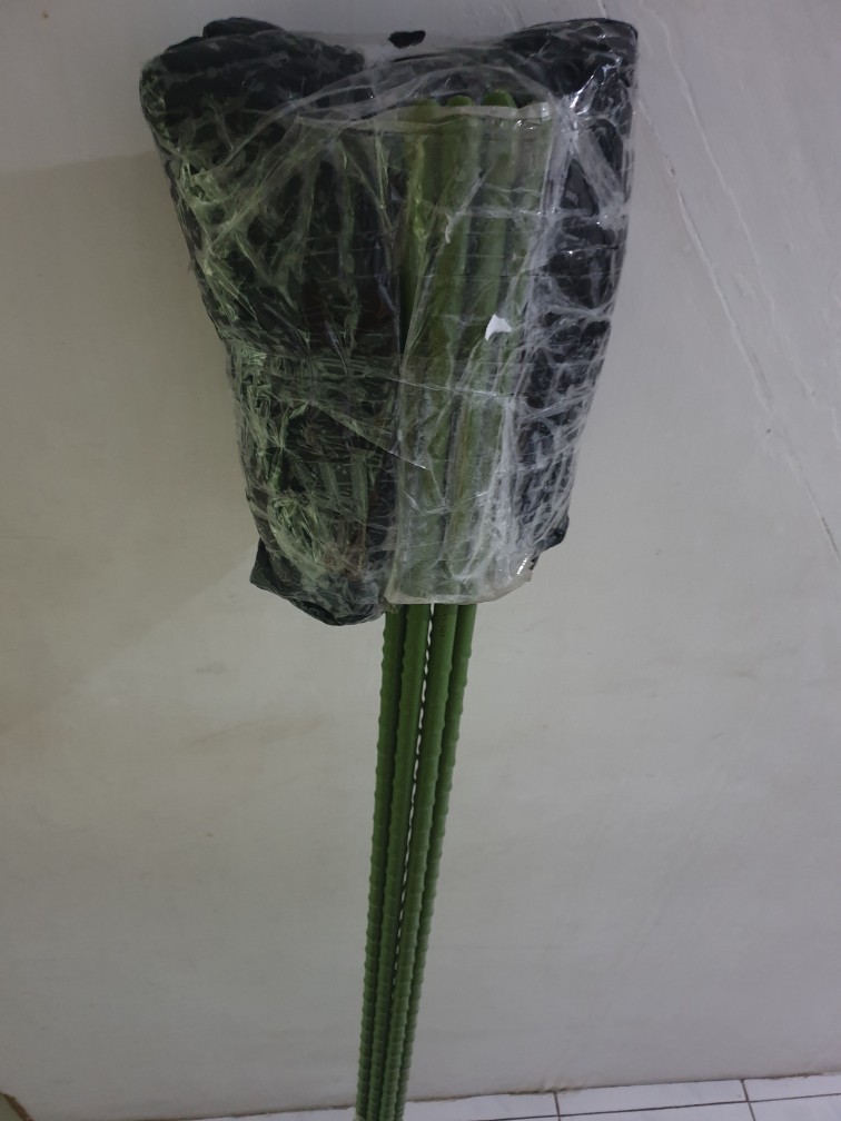 Cocopeat 800gr-2024
