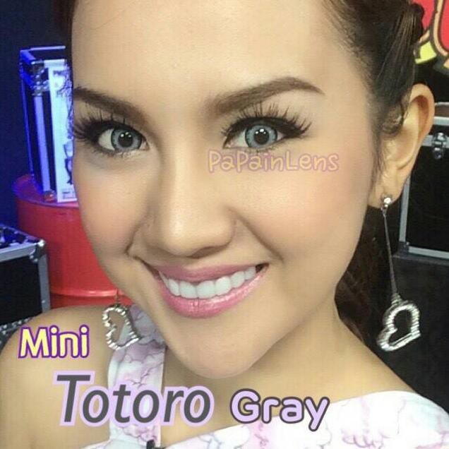 

TERLARIS mini totoro grey