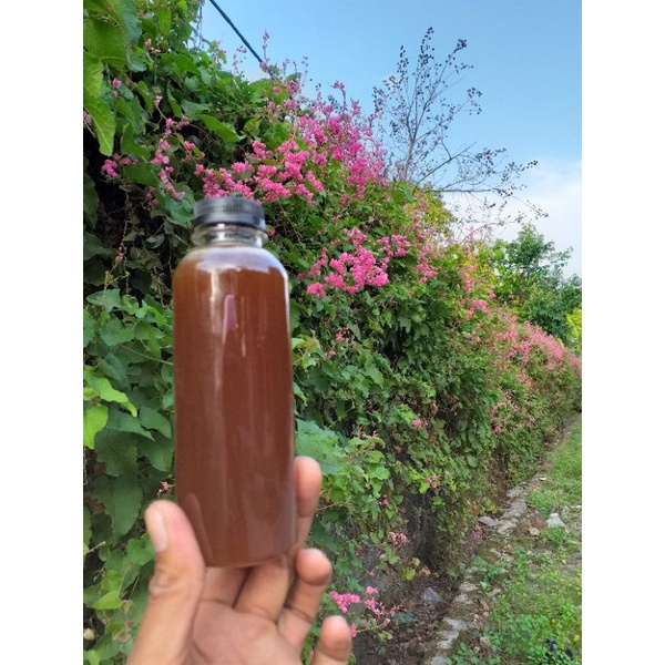 

madu trigona levisep 250 mili