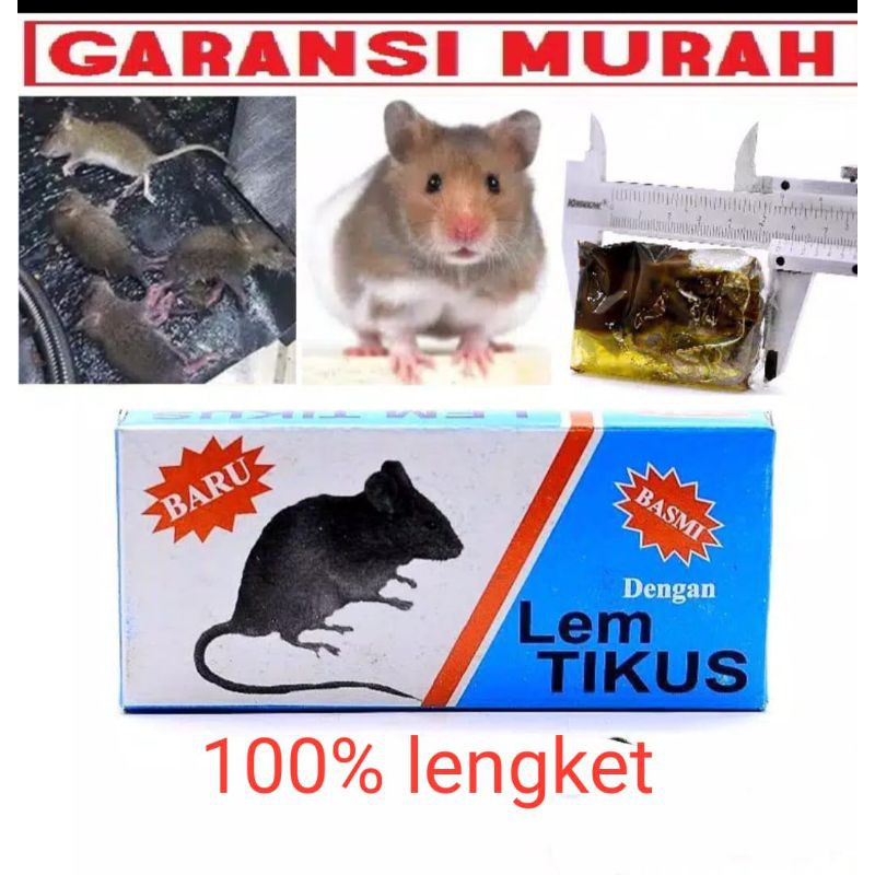 Lem tikus /lem perangkap tikus eceran