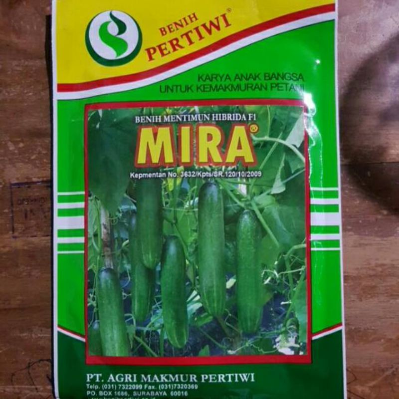 Bibit benih mentimun hibrida F1 MIRA isi 25gr