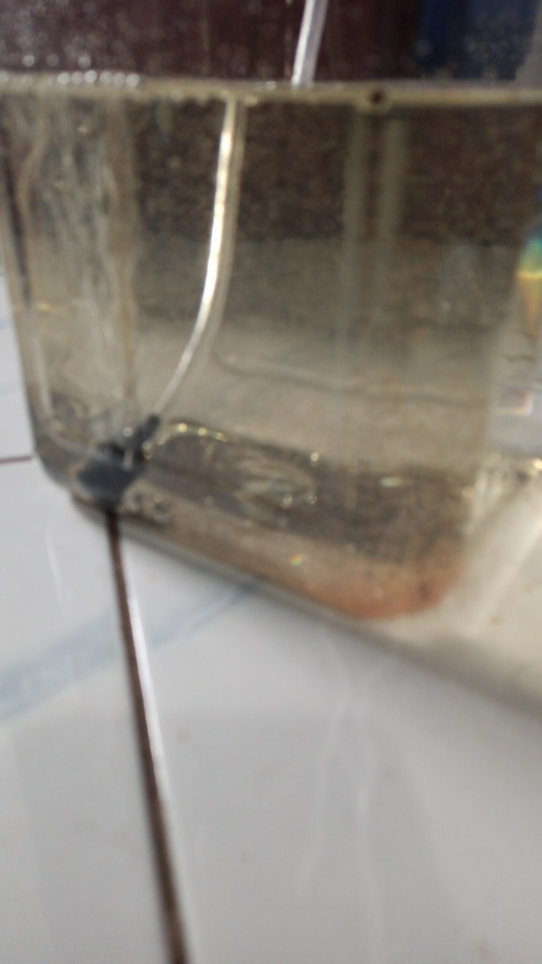 Ekspedisi Toples Plastik Kotak Tinggi 2 Liter Tanpa Tutup