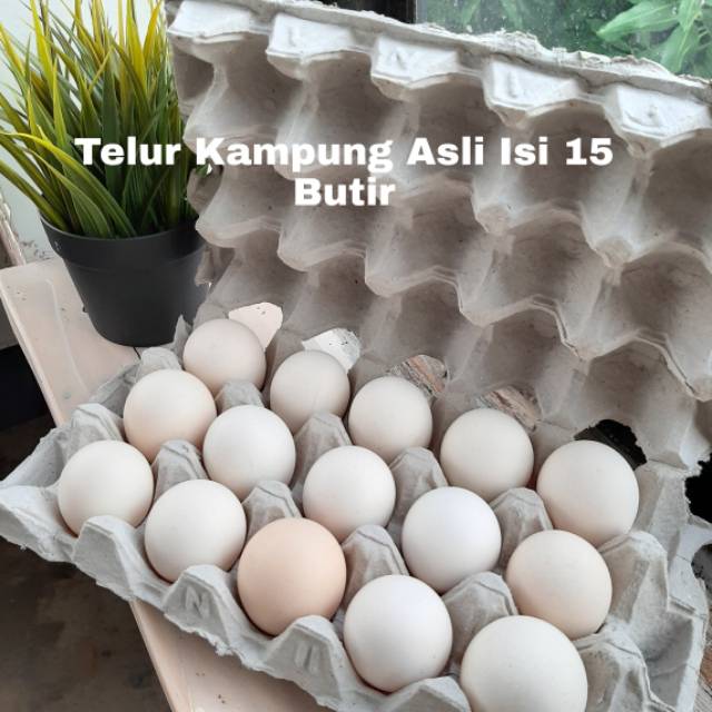 

Telur Ayam Kampung Asli Segar Isi 15 Butir