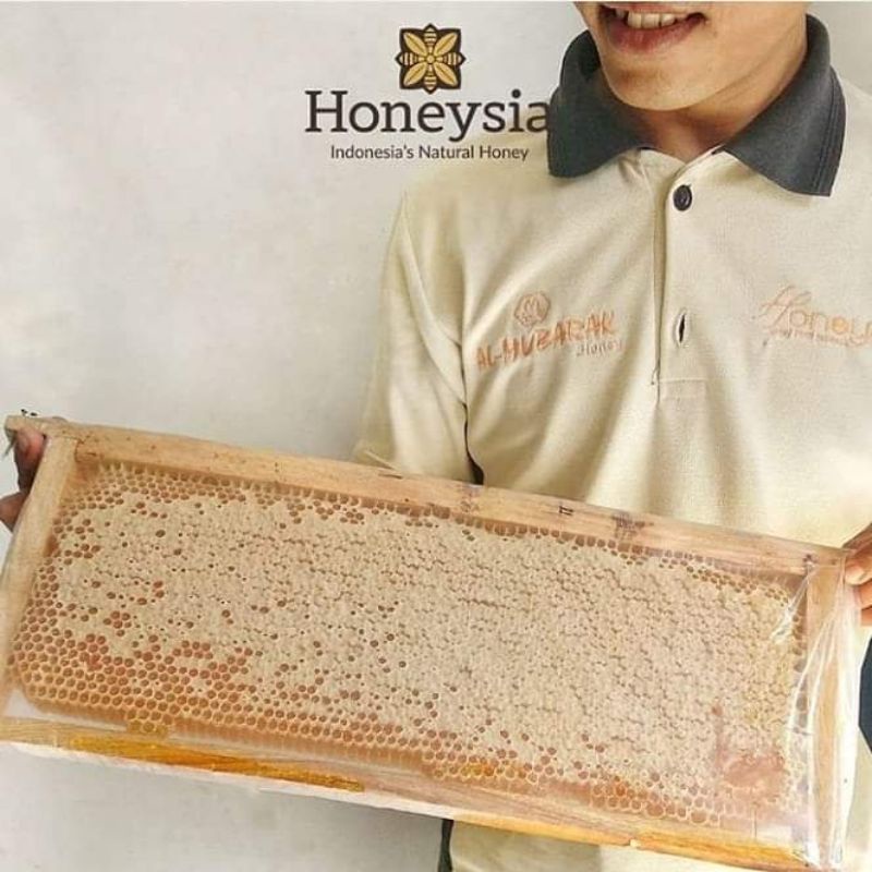 

Sarang Madu Honeysia