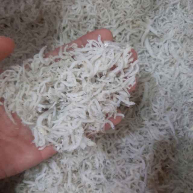 

Teri Nasi Medan