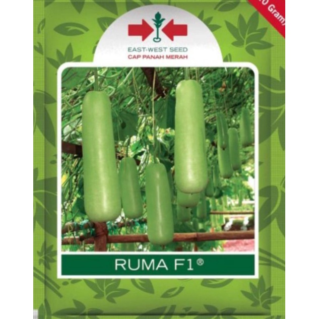 3 Butir Benih Labu Air Ruma Repacking (Cap Panah Merah)