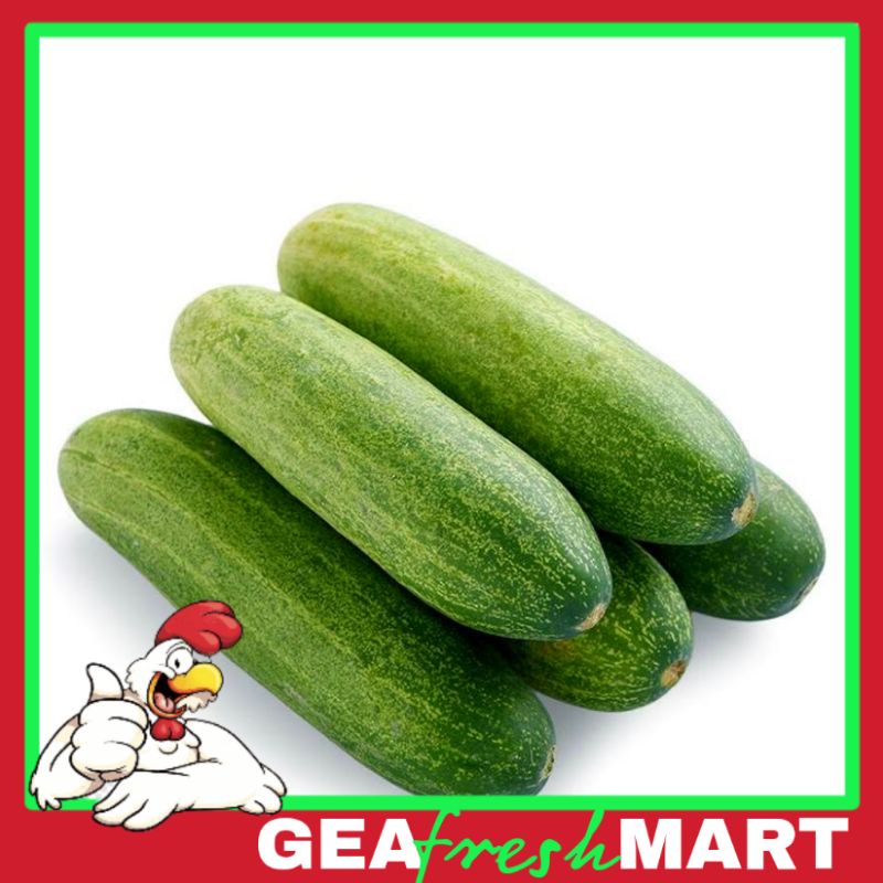 

Timun sayur 500gr