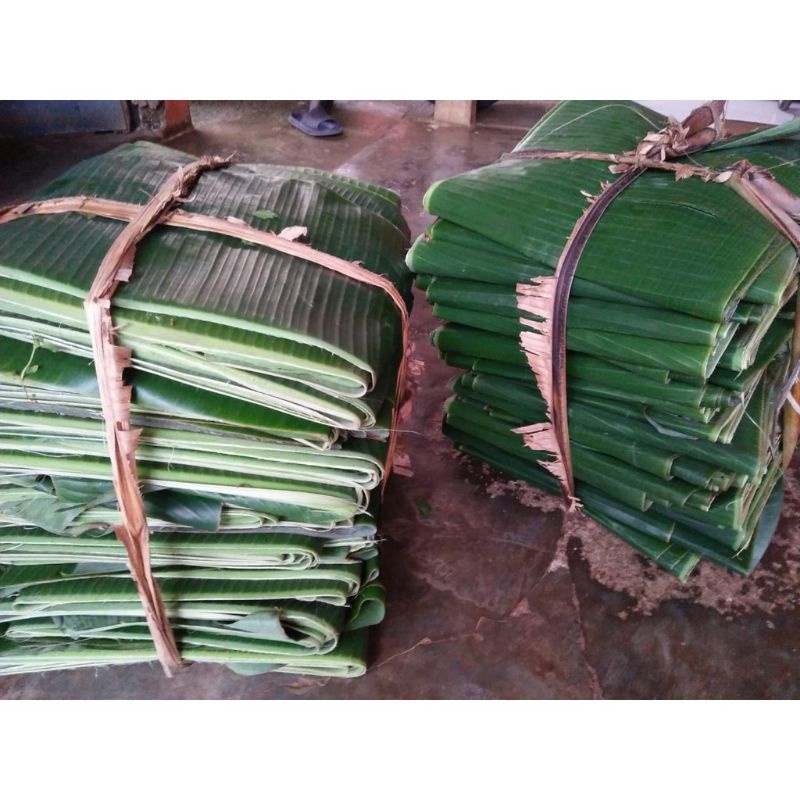

daun pisang batu