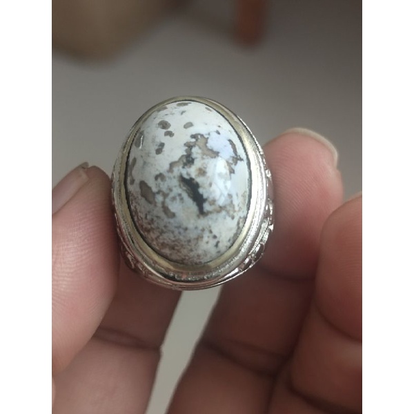 bacan albino totol glass