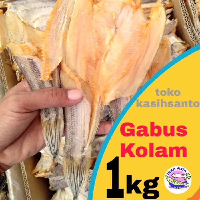 

ikan asin gabus kolam-1kg