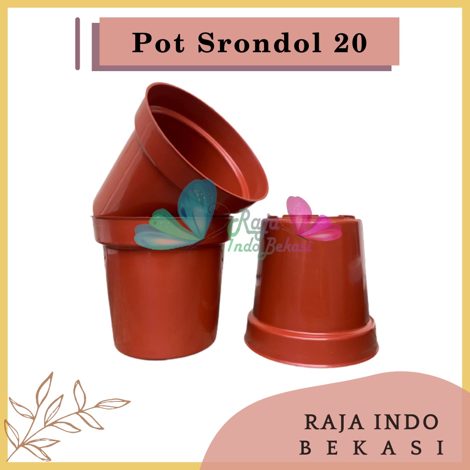 Rajaindobekasi Pot Tinggi Srondol 20 Merah BataTerracota Terracotta Merah Coklat - Pot Tinggi Usa Eiffel 18 20 25 Lusinan Pot Tinggi Tirus 15 18 20 Cm Paket murah isi 1 lusin pot bunga plastik lusinan pot tanaman Pot Bibit Besar Mini Kecil Pot Srondol