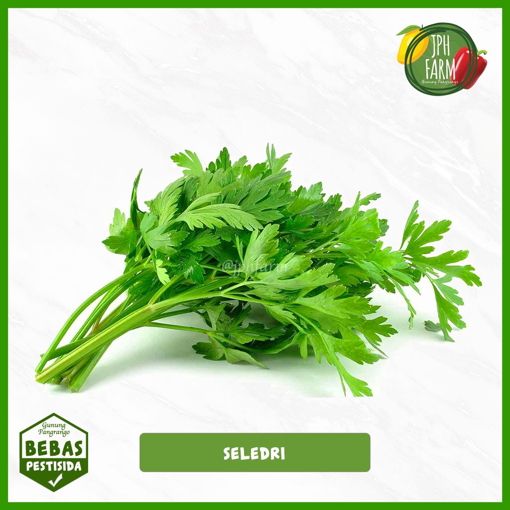 

Daun Seledri Non Pestisida, Celery 250g