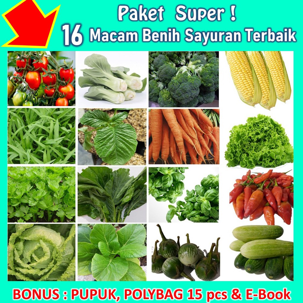 Paket Bibit Benih Unggul 16 Macam Sayuran Agromulya Free 3 ...