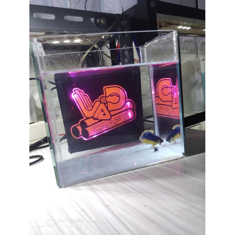 soliter ikan cupang 15x10x15 dengan kaca cermin