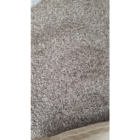 

sunflower seed roasted 250 gr