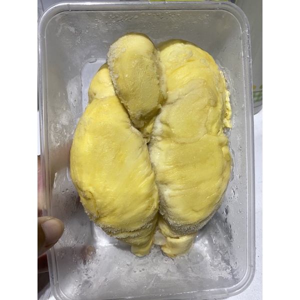 

montong bali premium