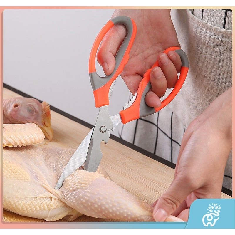 

Gunting kitchen multifunsi