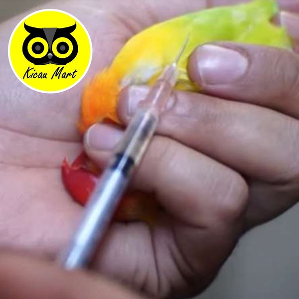 Spet 3 Ml Spuit One Med Untuk Vitamin Obat Hewan Burung Murai Kenari Lovebird Pleci Anis Kucing Anjing