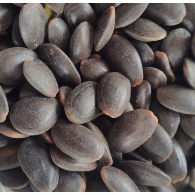 

BIJI KEDAWUNG/BIJI KEDAUNG 100 Gr