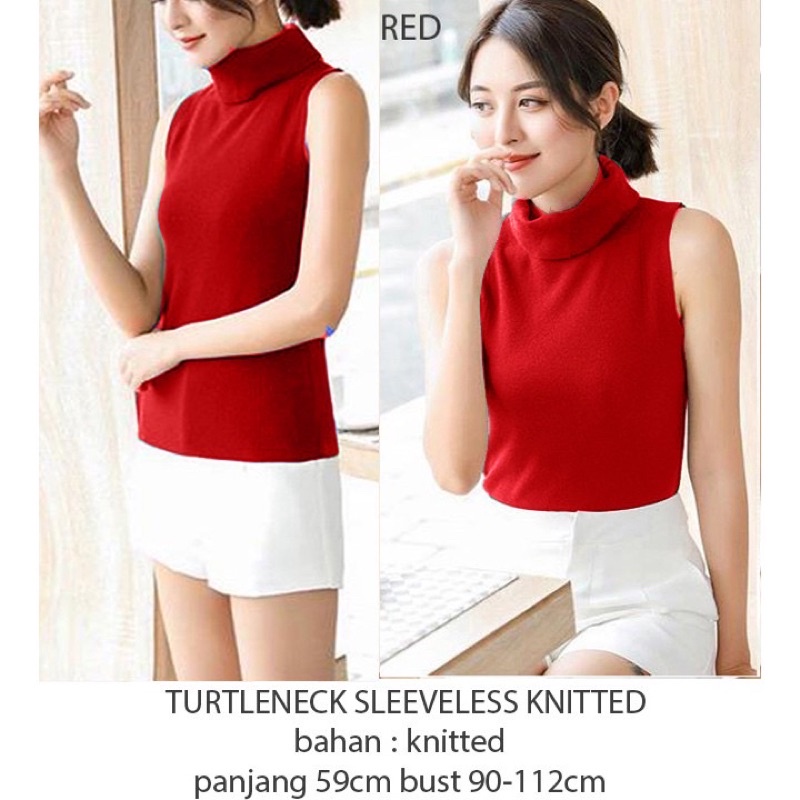 Basic turtleneck blouse knitted premium 113