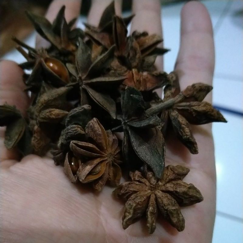 

bunga lawang kembang lawang peka bumbu pawon bumbu rempah obat tradisional semarang