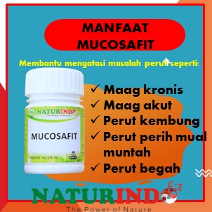 Obat Asam Lambung Obat Lambung Obat Herbal Asam Lambung Obat Lambung Paling Ampuh Obat Maag Asam Lambung Obat Lambung Kronis Obat Asam Lambung Herbal Ampuh Obat Asam Lambung Kronis Obat Lambung Herbal Herbal Asam Lambung Kesehatan Lambung Ampuh Kronis-3