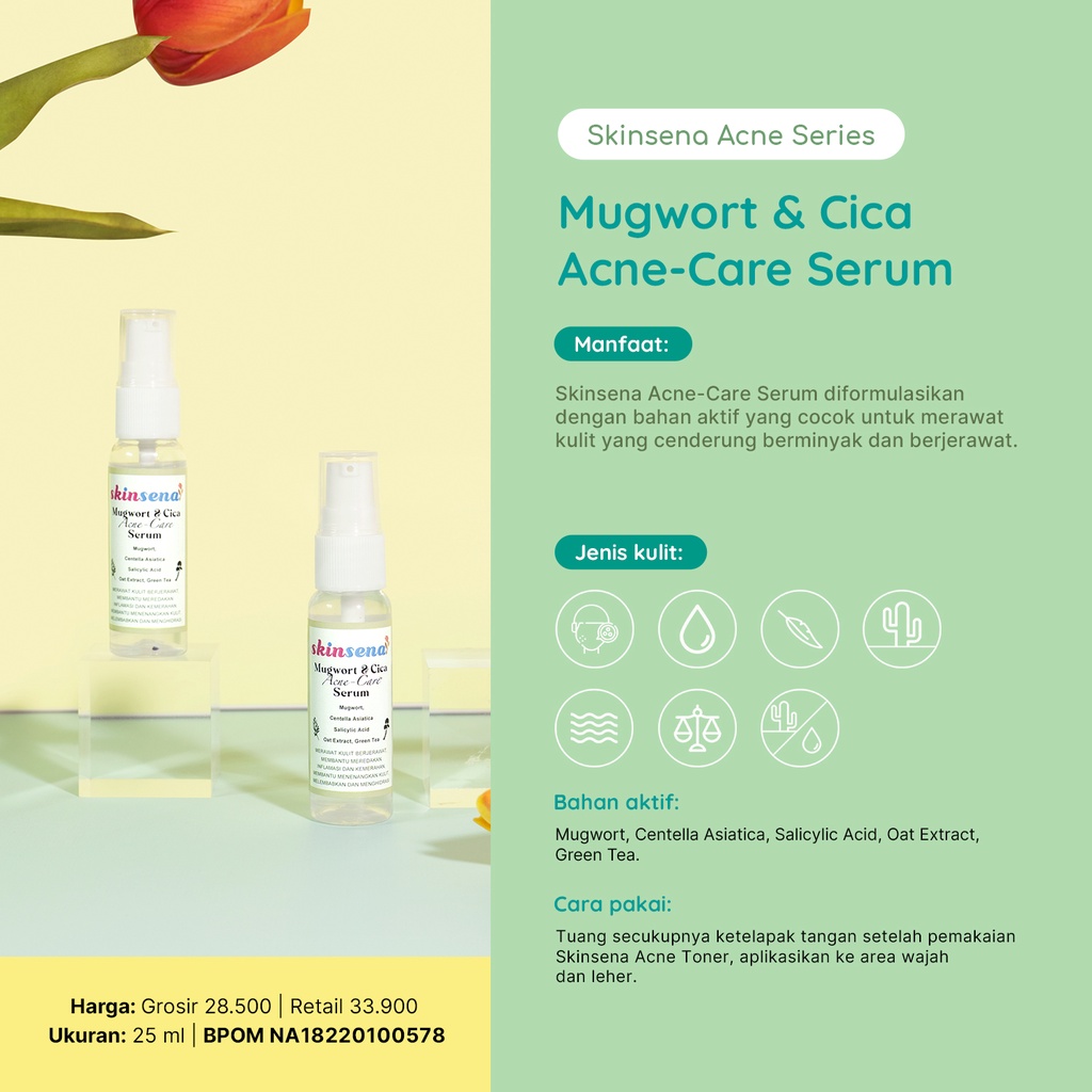 Paket Skinsena Mugwort &amp; Cica Acne-Care Series