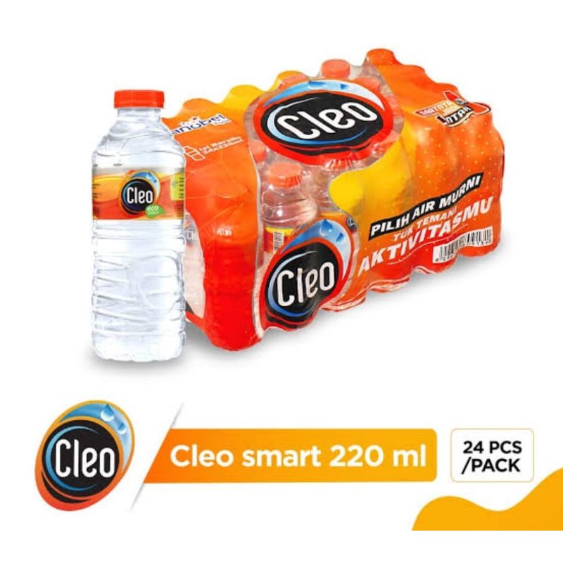 

Cleo Mini 220ML (24 btl)