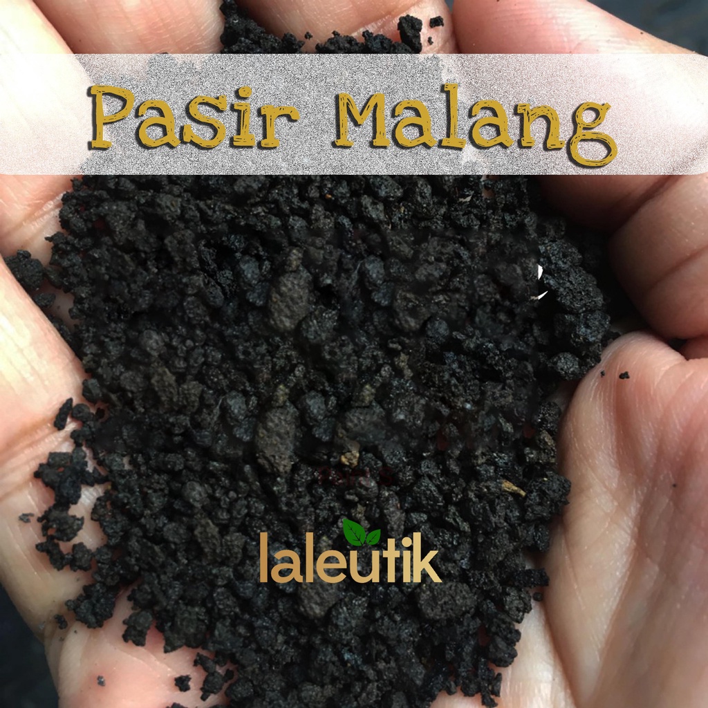 Pasir Malang | Pasmal | Media Tanam | Aquascape | Lava Rock