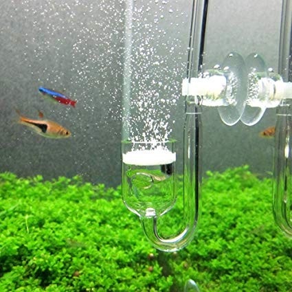 AQUA NOVA 20MM CO2 GLASS DIFFUSER AQUARIUM AQUASCAPE 20 MM AQUANOVA