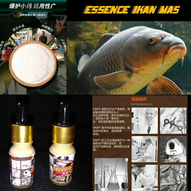 Essen Ikan Mas Mix DMPT