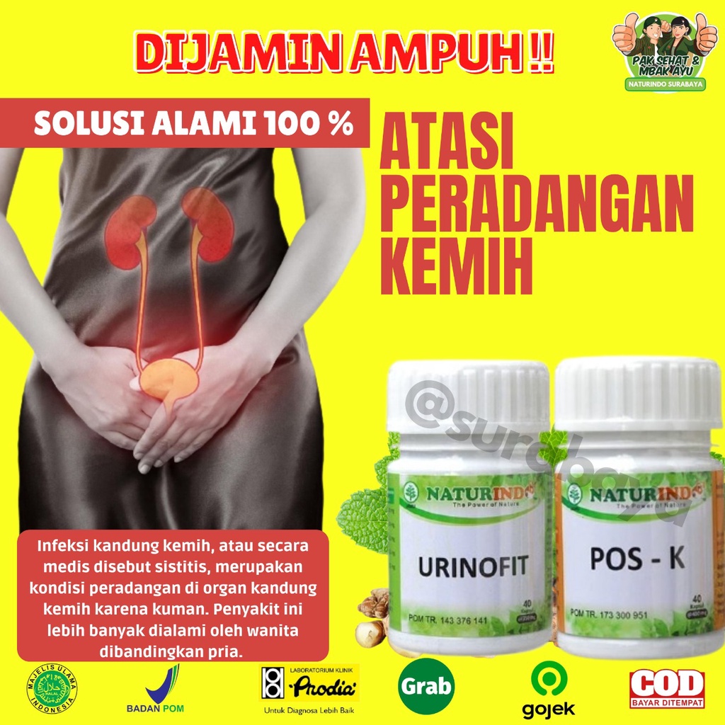 Obat Herbal Sulit Kencing Sakit Prostat Infeksi Saluran Kencing Anyang Anyangen Atasi Batu Ginjal Saluran Kemih Obat Kencing Batu kencing sakit Obat Gagal Ginjal Bocor Bengak Kencing Berbuih Berbusa Batu Spesialis Ginjal URINOFIT NATURINDO SURABAYA-INFEKSI KANDUNGKEMIH