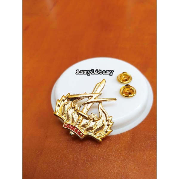 Pin wing brevet para raider