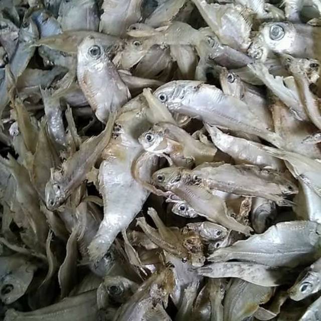 

Ikan teri ase ase