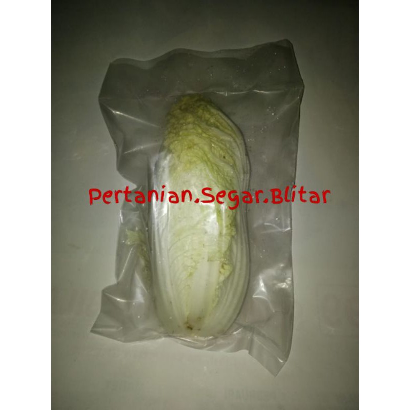 

[Pertanian Blitar] Sawi Putih Segar Fresh Petik Press Vakum Sayur Sayuran Besei Besawi
