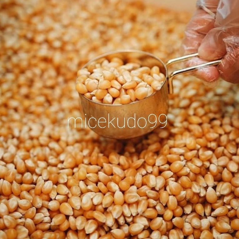 

JAGUNG POPCORN 1 KG PREMIUM NON GMO MENTAH / RAW