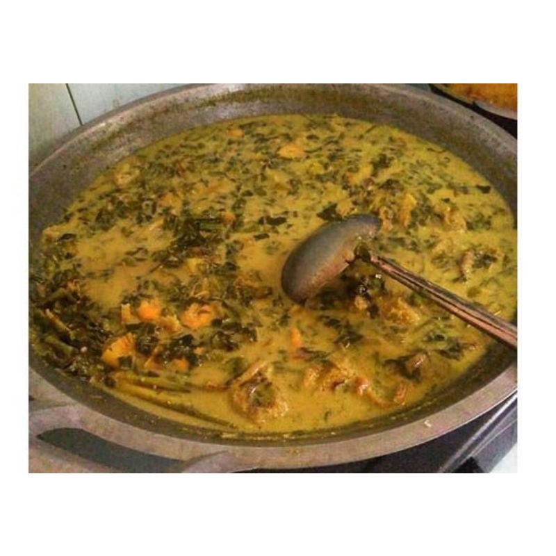 

patarana atau pliek u asli aceh