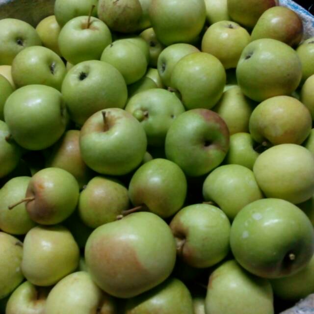 

Buah Apel / Apple