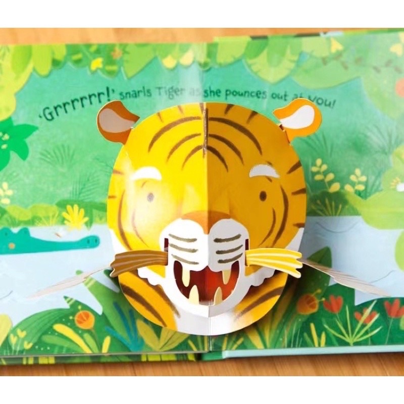 Usborne pop up - buku import anak