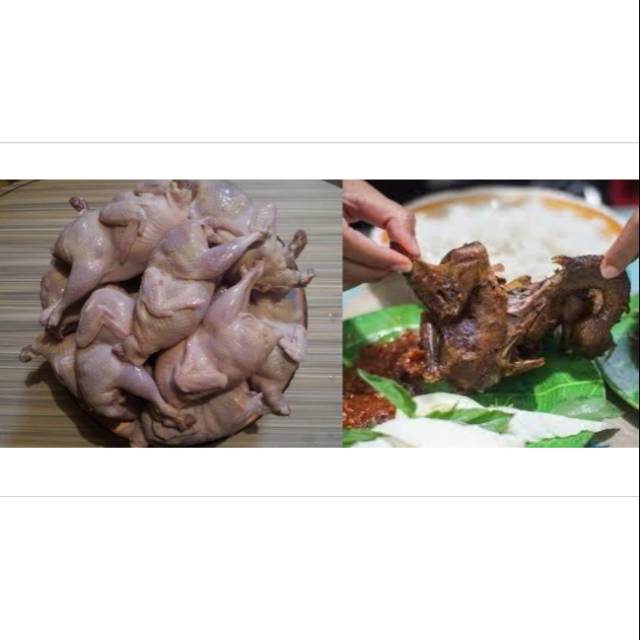 

BURUNG PUYUH isi 10 EKOR / FROZEN FOOD