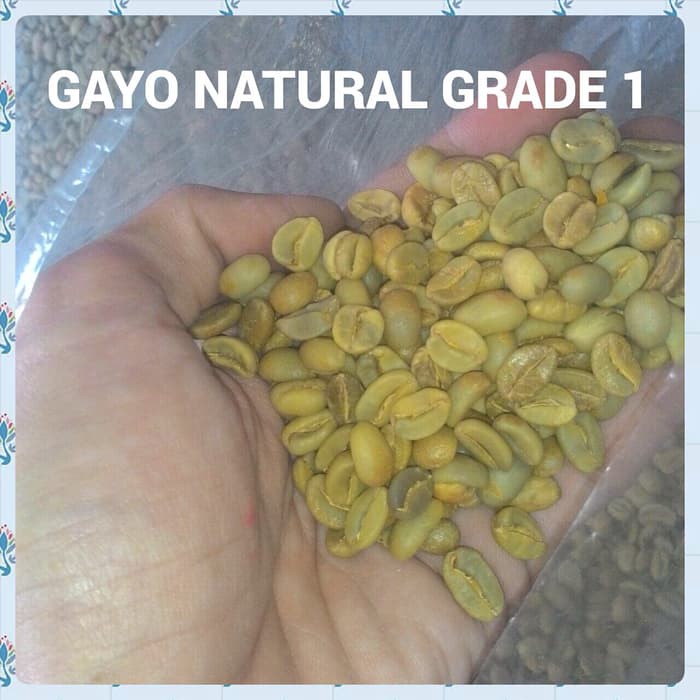

KOPI ARABICA GAYO NATURAL GREEN BEAN GRADE1