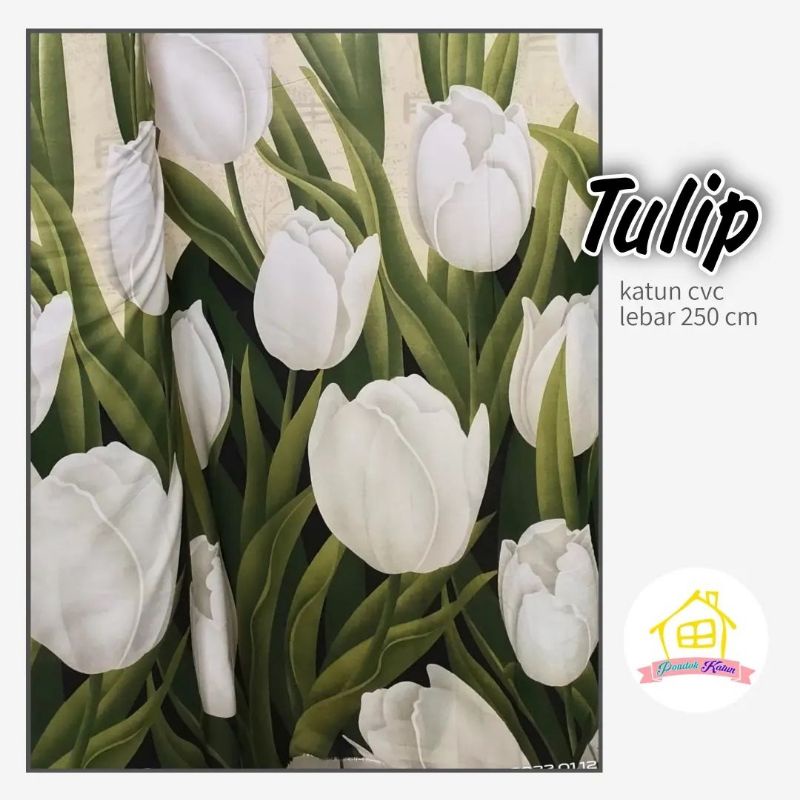 KAIN CVC TULIP