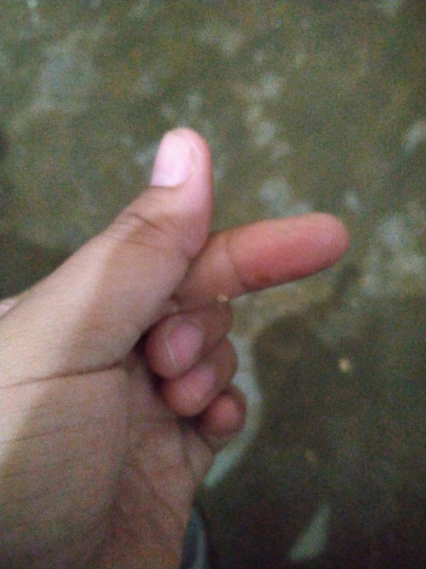 Mika Kue 5t 12 X 9 X 2.5 - Kemasan Makanan (1 Bendel Isi 10 Pcs)