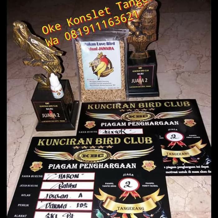 Pakan Jawara Oke Konslet Menggacorkan Dan Nambah Durasi Shopee