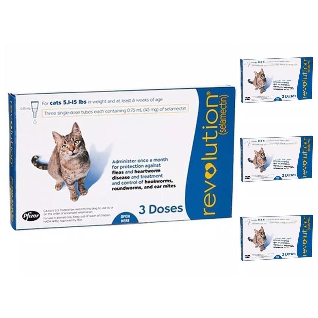 revolution cat kucing obat tetes kutu kucing dewasa