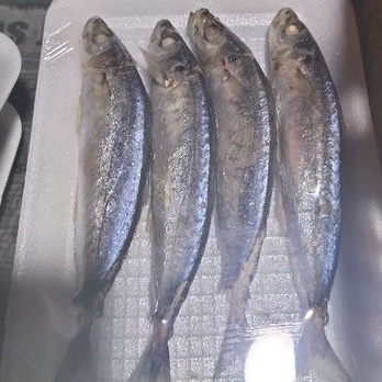 

Ikan kembung Mateng 1Loyang Baru ya 4pcs