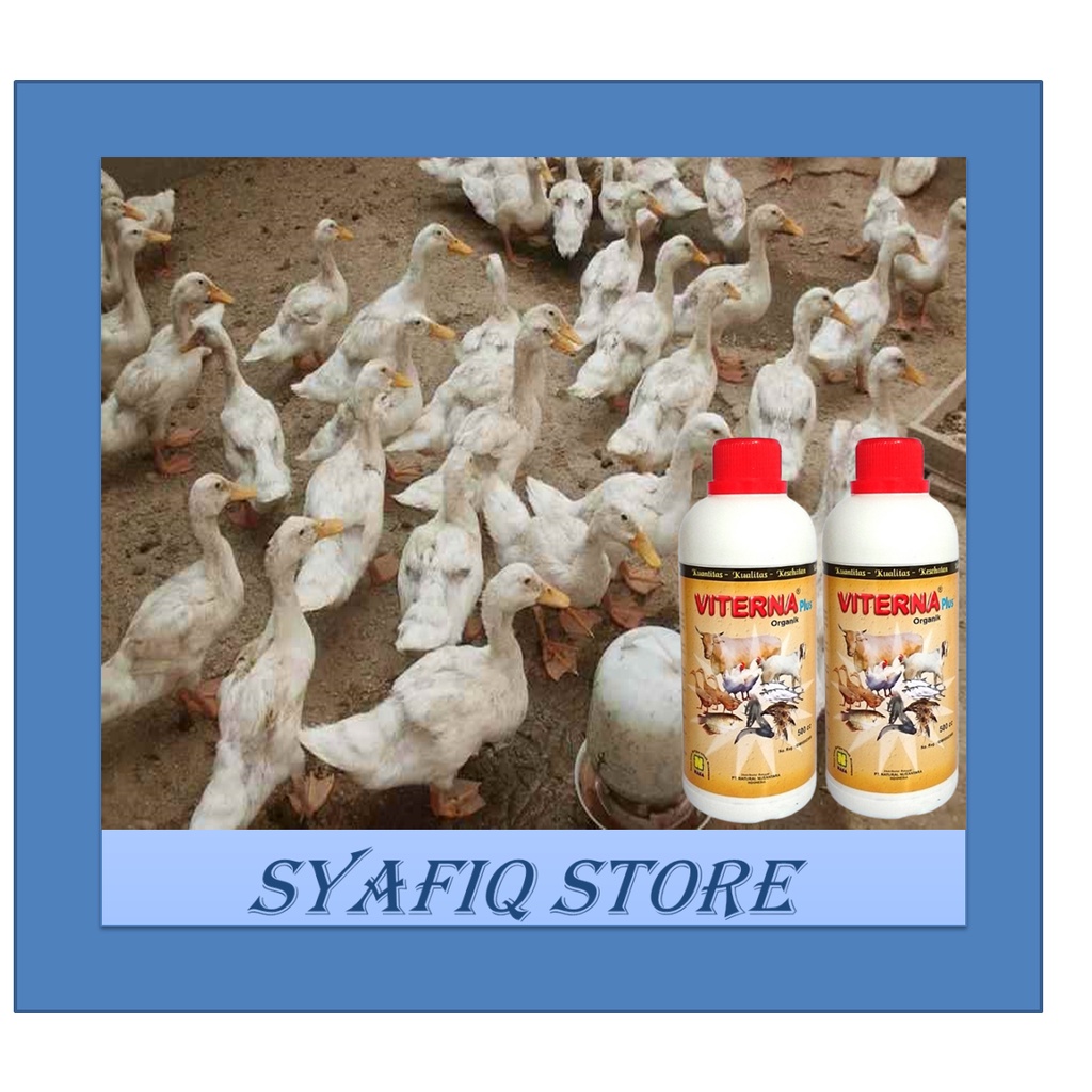 Vitamin Ternak Untuk Bebek / Suplemen Pemacu Pertumbuhan Bebek Peking Bebek Pedaging / Jamu Untuk Be