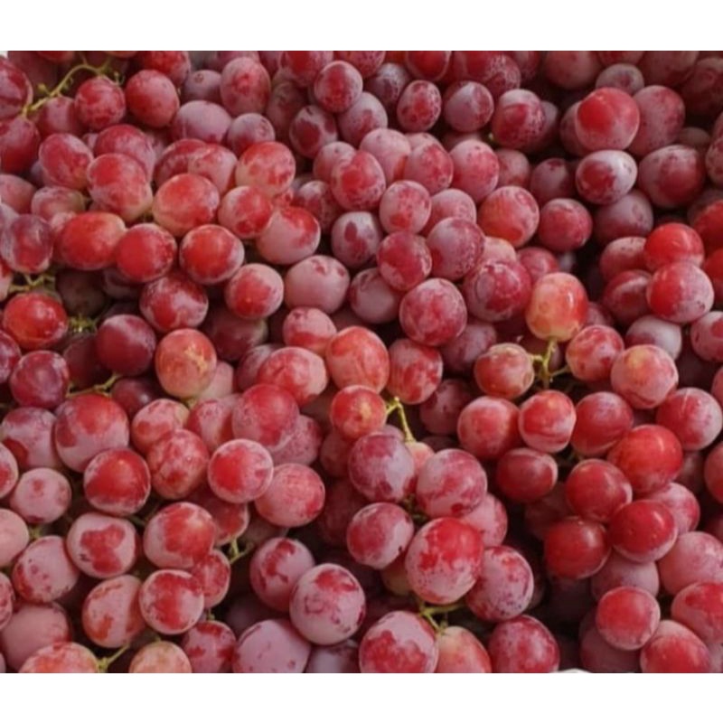 

Buah Anggur Red Globe Grapes Premium 1Kg