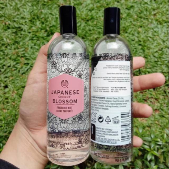 Japanese Cherry Blossom